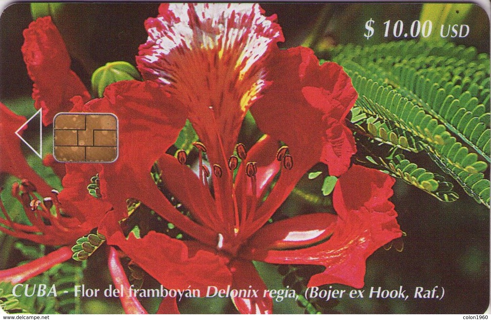 CUBA. Flor Del Framboyán (Delonix Regia). 2000-02. 30000 Ex. CU-099. (399) - Cuba