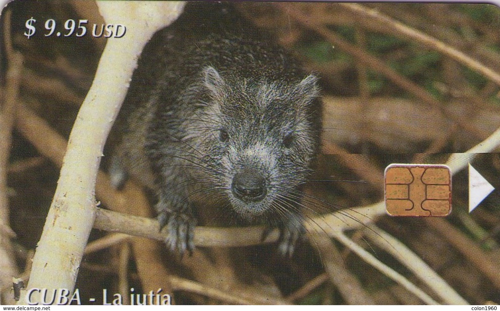 CUBA. FAUNA. La Jutia. 2002-12. 30000 Ex. CU-161. (413) - Cuba