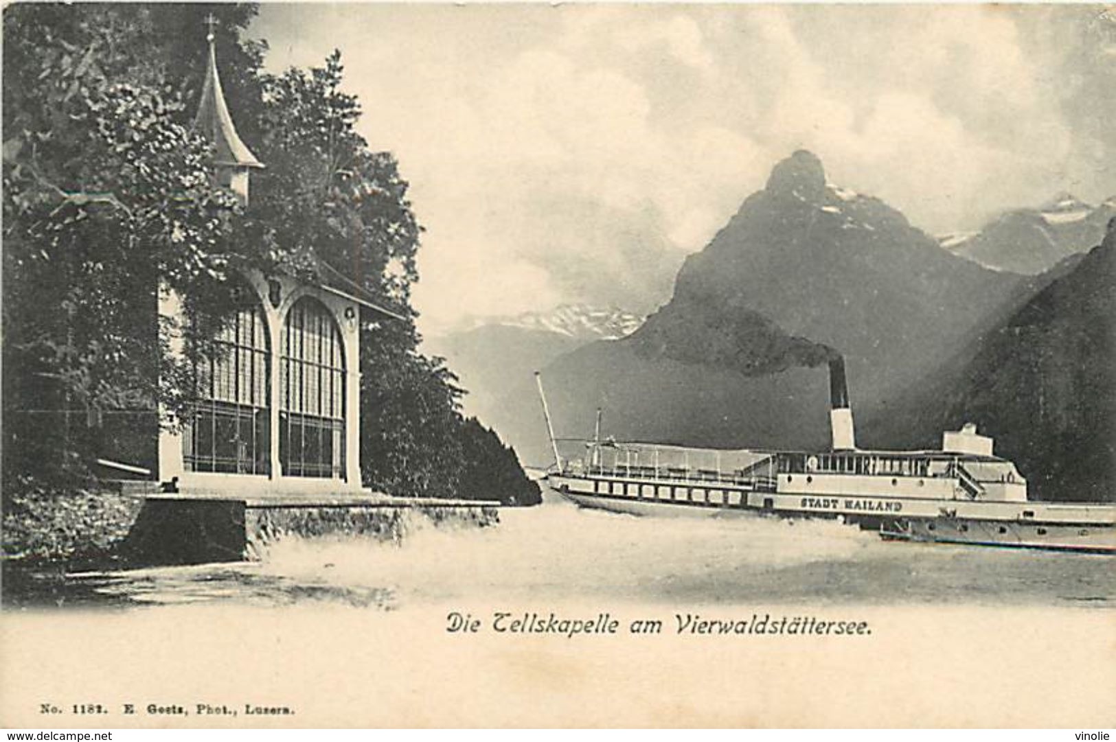 PIE-17-P.T. 8249 :   DIE TELLSKAPELLE AM VIERWALDSTÄTTERSEE - Wald