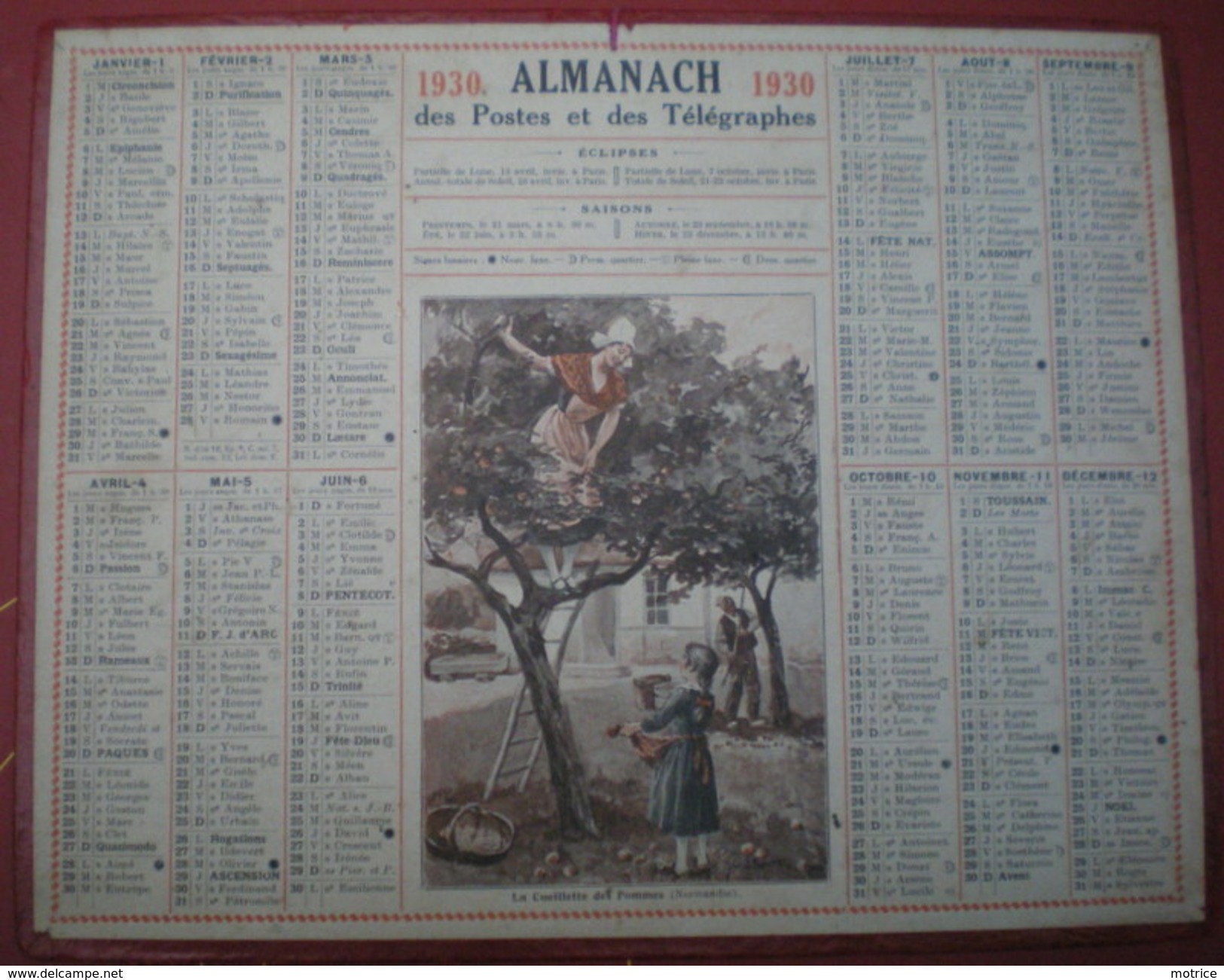 ALMANACH DES POSTES ET DES TÉLÉGRAPHES  1930 - La Cueillette Des Pommes (Normandie) - Grand Format : 1921-40
