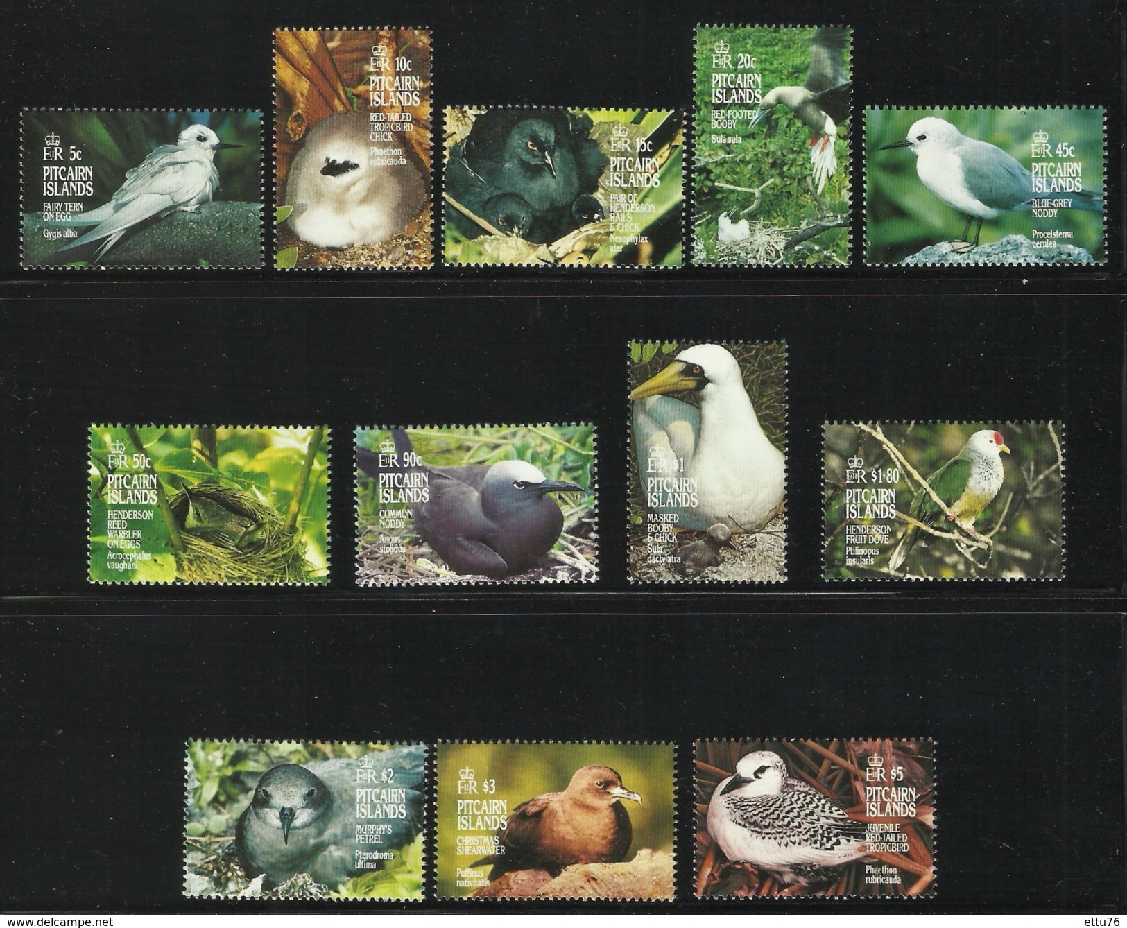 PITCAIRN ISLANDS  1995   BIRDS   SET  MNH - Otros & Sin Clasificación