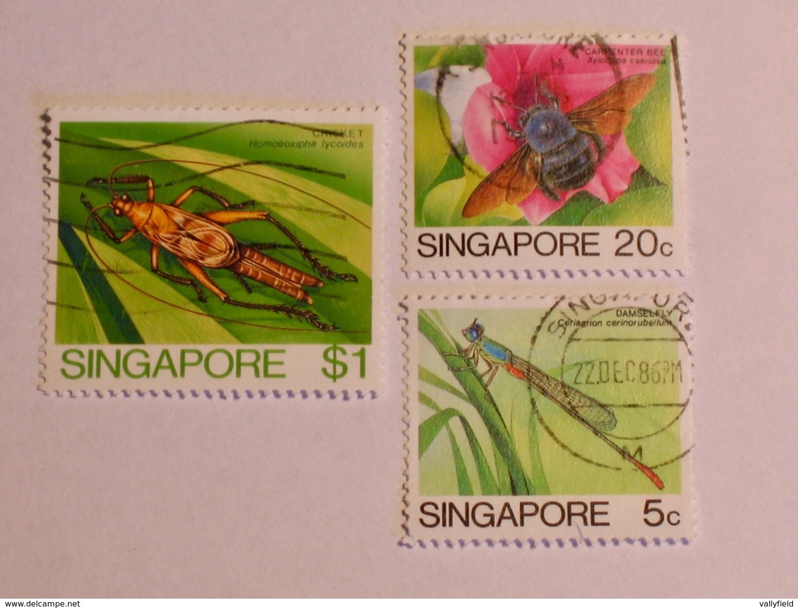 SINGAPOUR 1985  LOT# 3  INSECT - Singapour (1959-...)