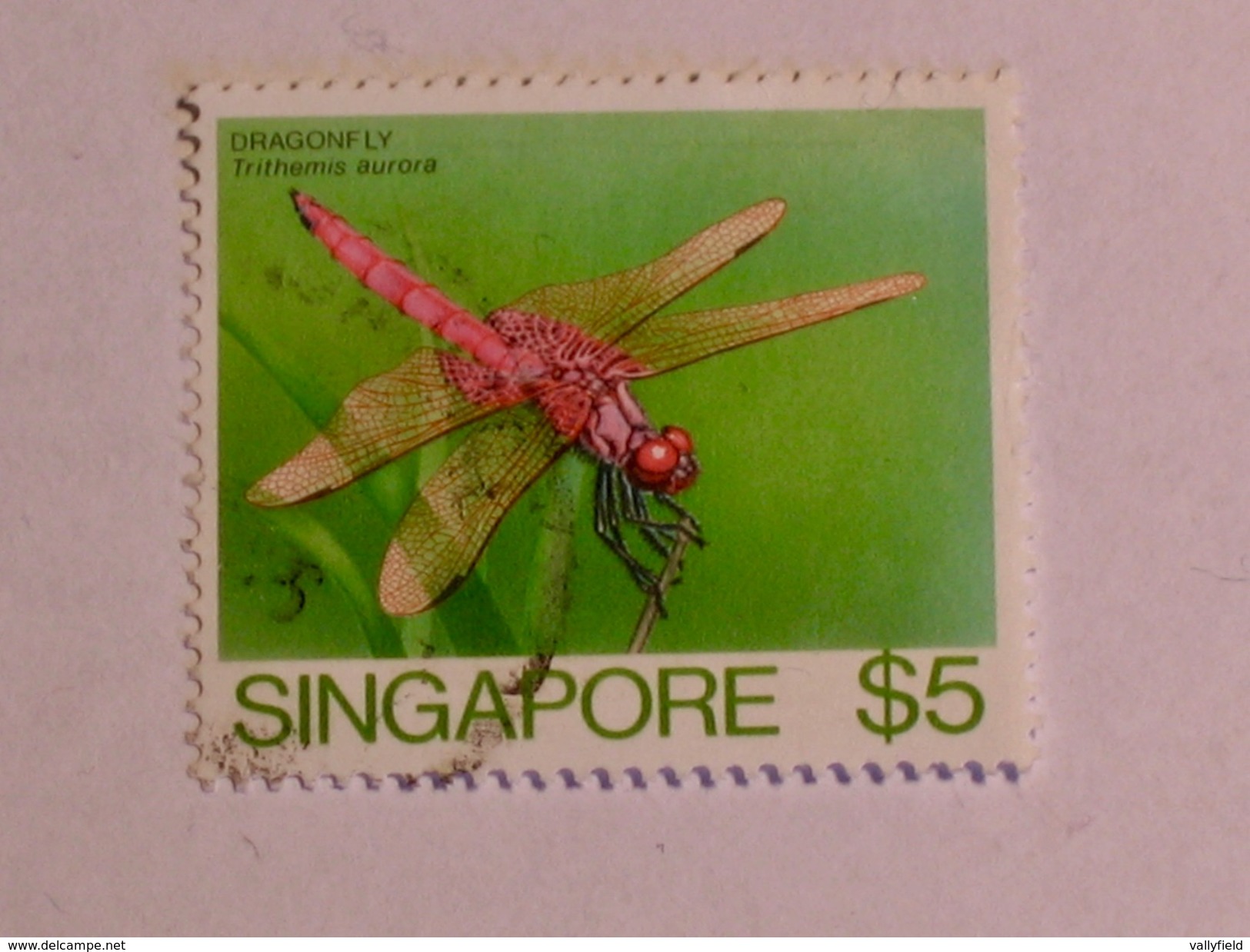 SINGAPOUR 1985  LOT# 8  INSECT - Singapur (1959-...)