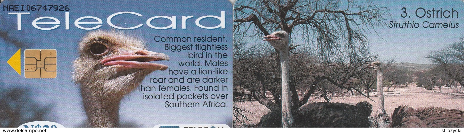 Namibia - Birds Of Namibia - Ostrich - Namibia
