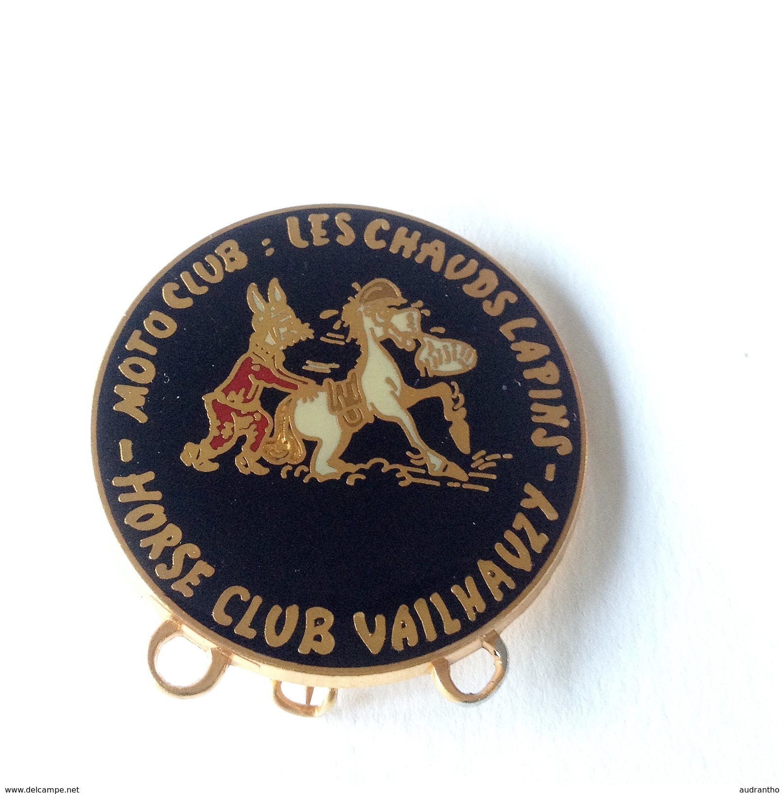 Insigne Broche Moto Club Vailhauzy Horse Club Les Chauds Lapins 12 Aveyron - Motos