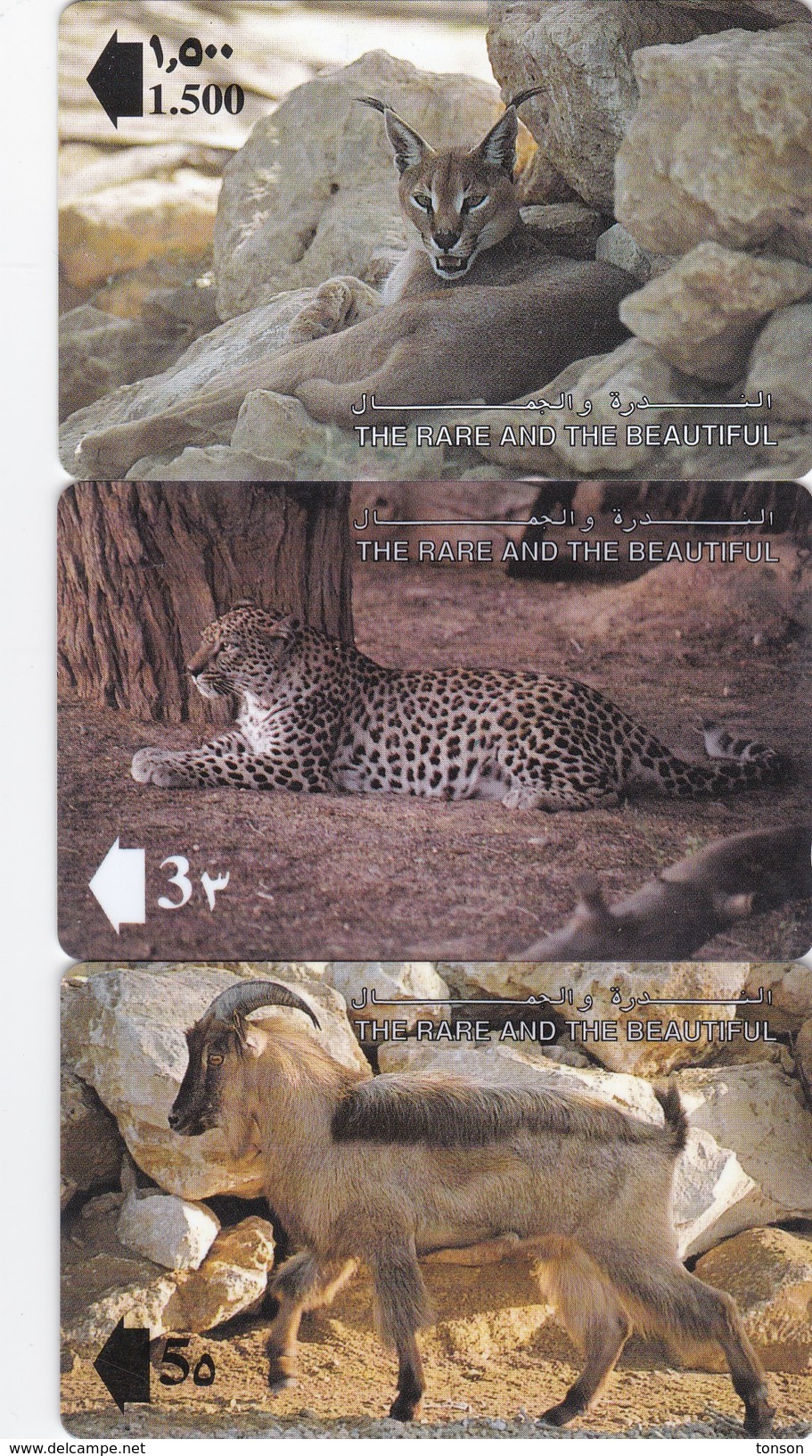 Oman,  13OMNA - C,  1993 The Rare And The Beautiful, Animals, Set Of 3 Cards, 2 Scans. - Oman