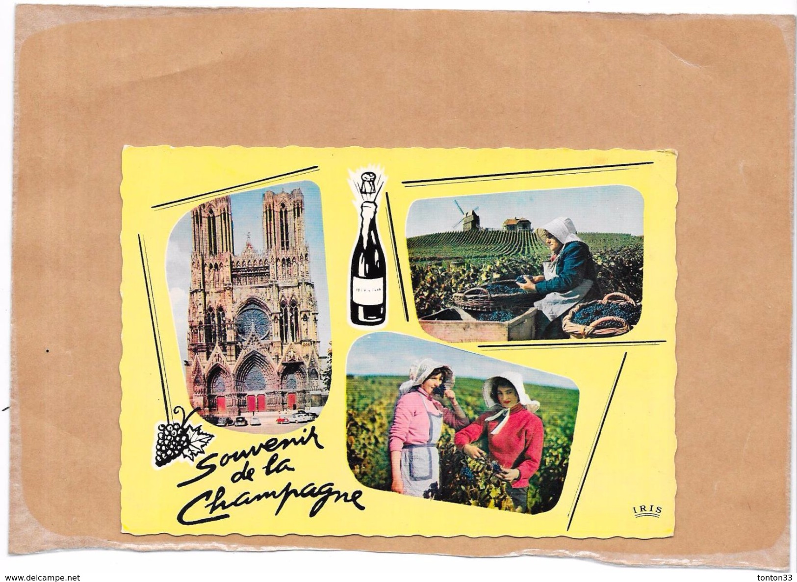 DEPT 51 - Souvenir De LA CHAMPAGNE - MULTI-VUES  - 3 Vues - TON1 - - Reims