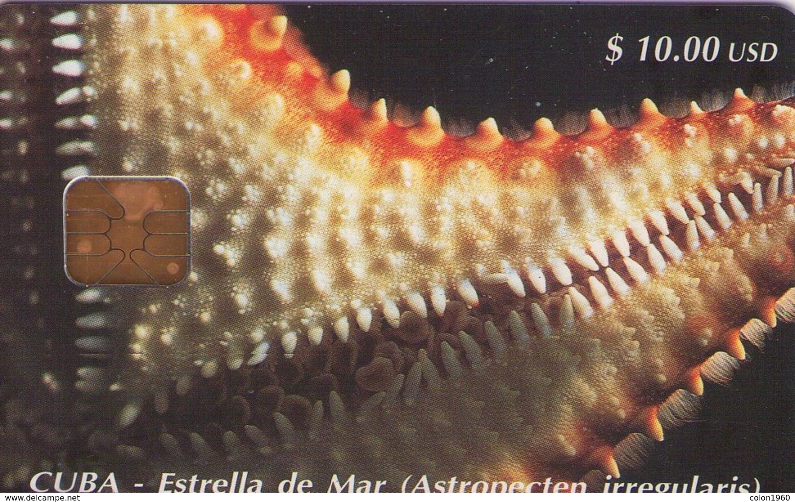 CUBA. Starfish (Astropesten Irregularis). 1998-07. CU-020. (375) - Cuba