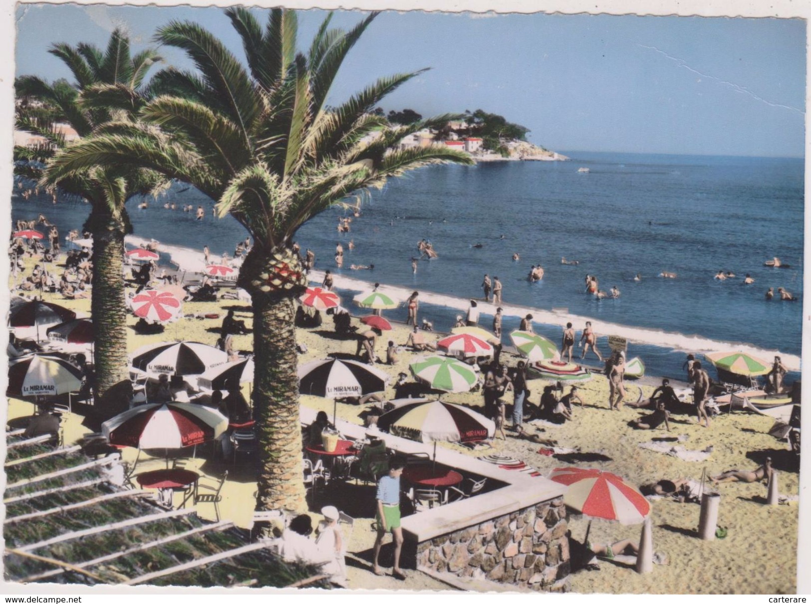 83,VAR,TOULON,PLAGE,PALMIER,BAR,CAFE,CARTE PHOTO AERIENNE COMBIER - Toulon