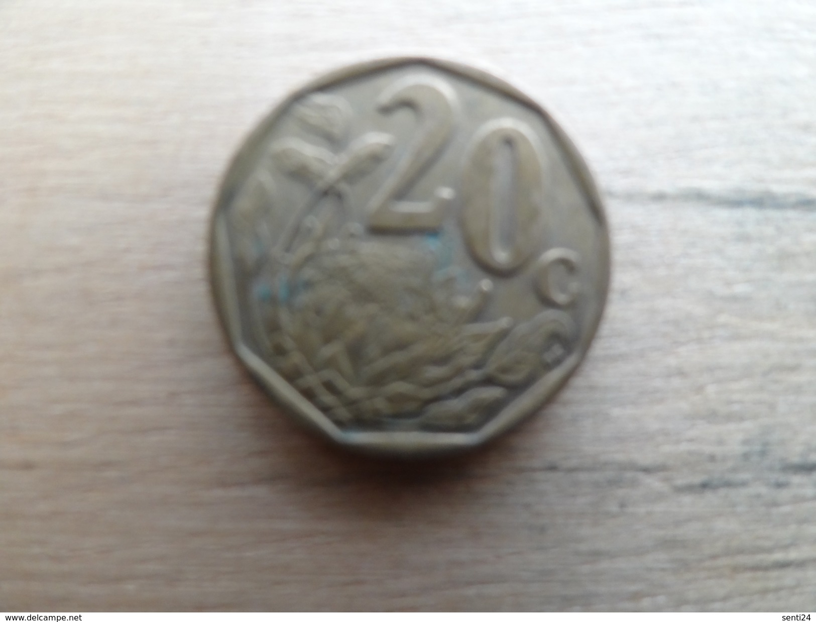 Afrique Du Sud  20  Cents  2006  Km  488 - South Africa