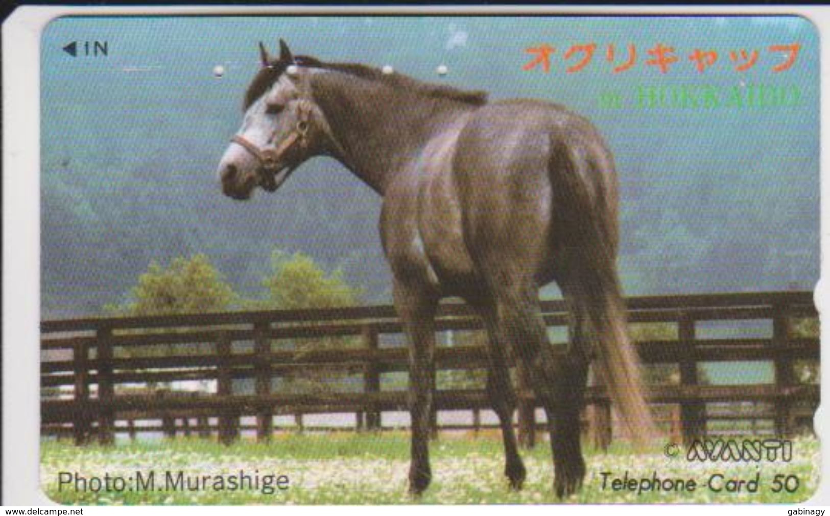 HORSE - JAPAN - H183 - Chevaux