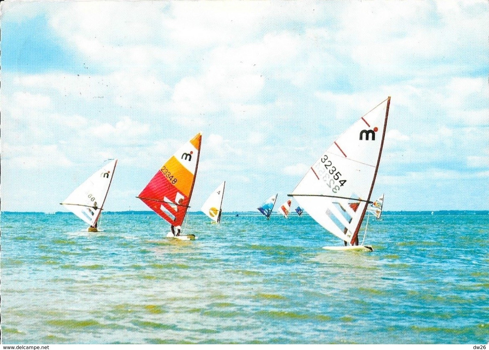 Wind-Surfing An Der Nordsee - Régate De Planche à Voile Mistral - Vela