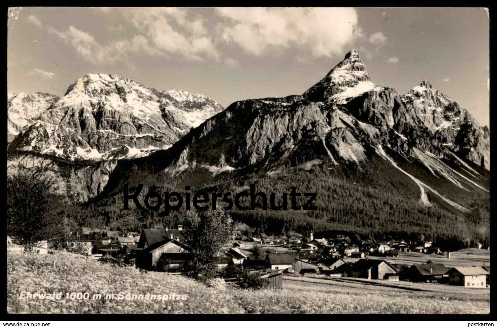 ÄLTERE POSTKARTE EHRWALD 1000 M MIT SONNENSPITZE WIESE BLUMENWIESE Postcard Ansichtskarte AK Cpa - Ehrwald