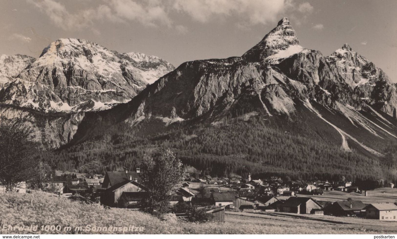 ÄLTERE POSTKARTE EHRWALD 1000 M MIT SONNENSPITZE WIESE BLUMENWIESE Postcard Ansichtskarte AK Cpa - Ehrwald