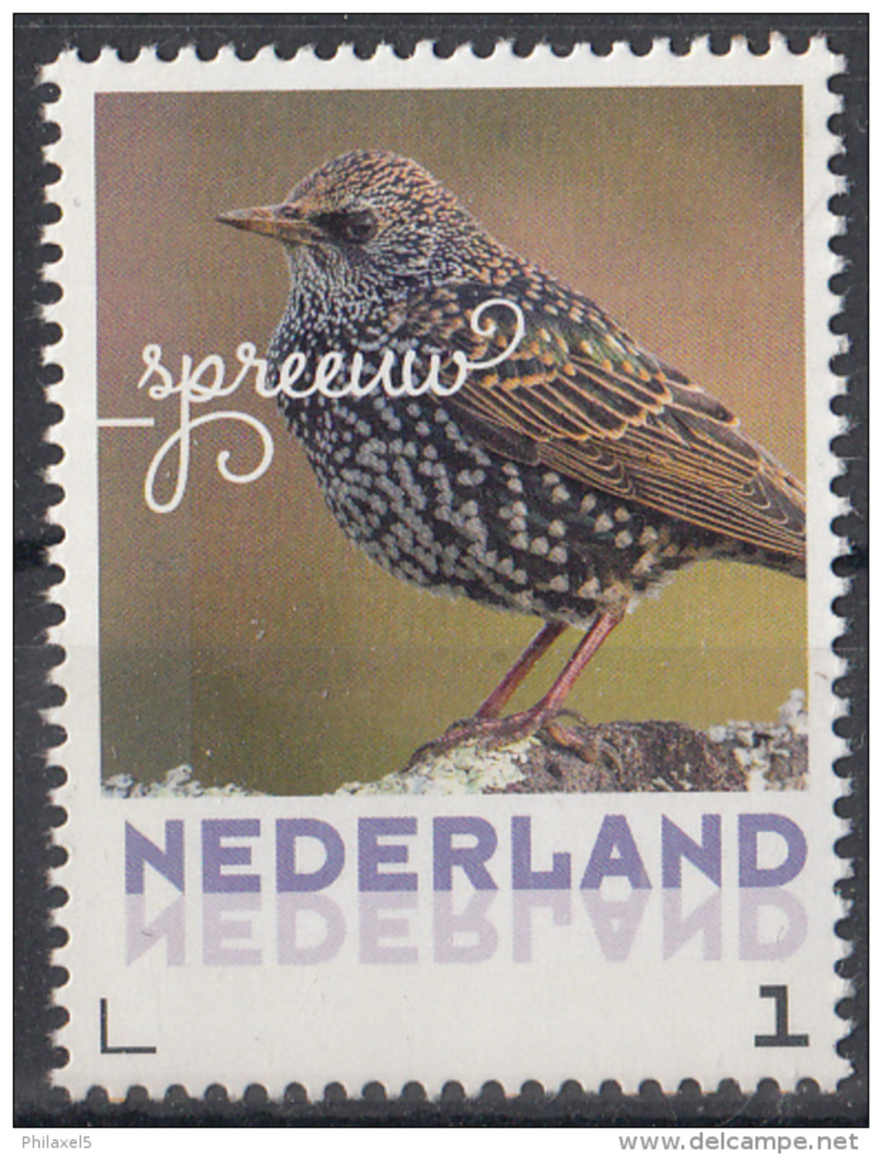 Nederland - September 2017 - Herfstvogels - Spreeuw - Vogels/birds/vögel/oiseaux - MNH - Uccelli Canterini Ed Arboricoli