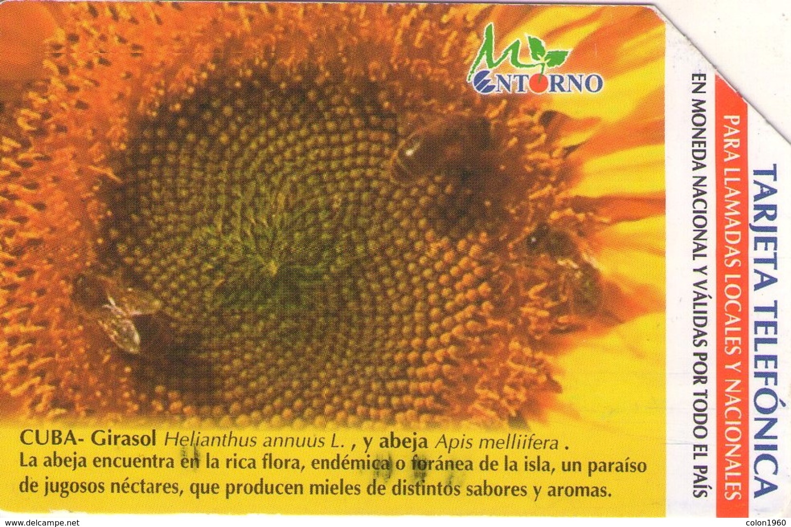 CUBA. Sunflower 2. GIRASOL. 2003-01. 75000 Ex. CU-UR-031. (279) - Cuba