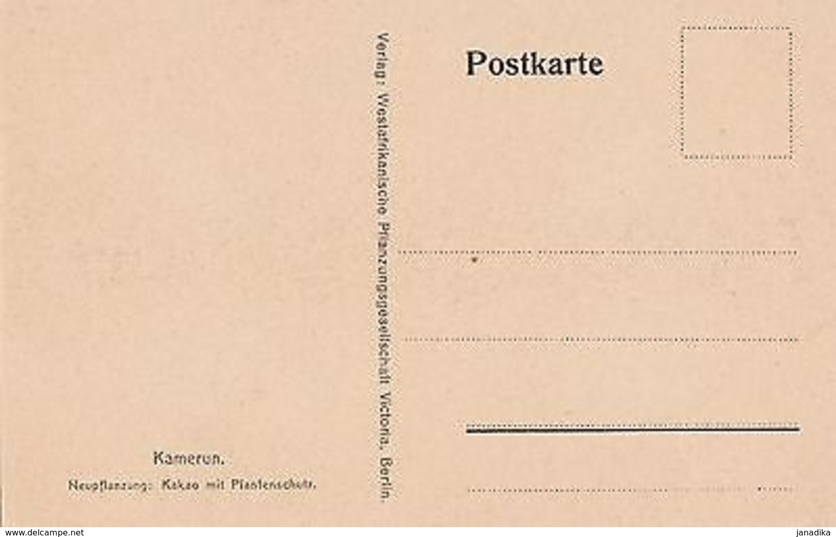 K 44 - Kamerun - Neuplanzung: Kakao M. Plantenschutz, Ungelaufen - Ehemalige Dt. Kolonien