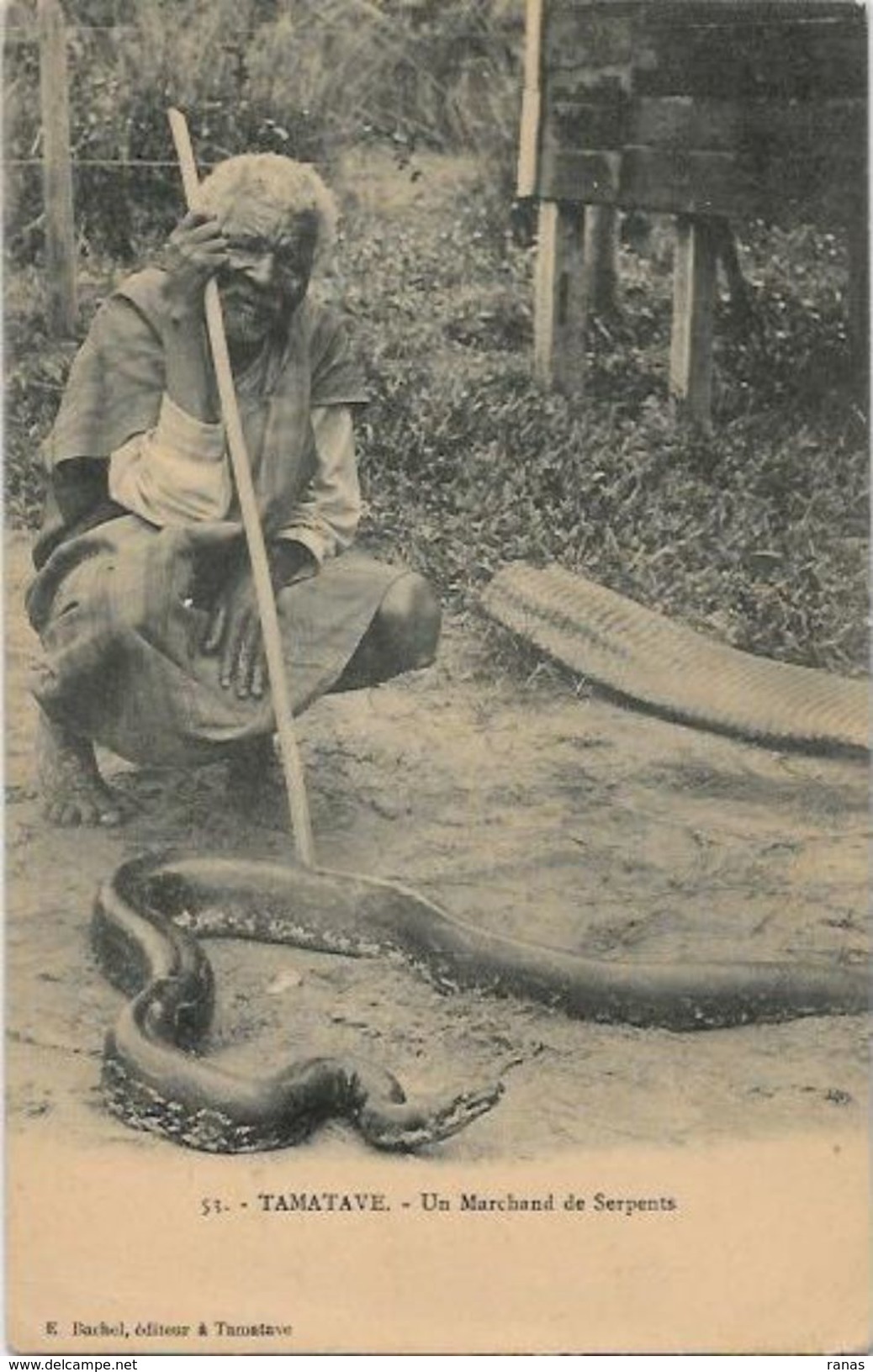 CPA Madagascar Non Circulé Type Métier Tamatave Serpents - Madagaskar