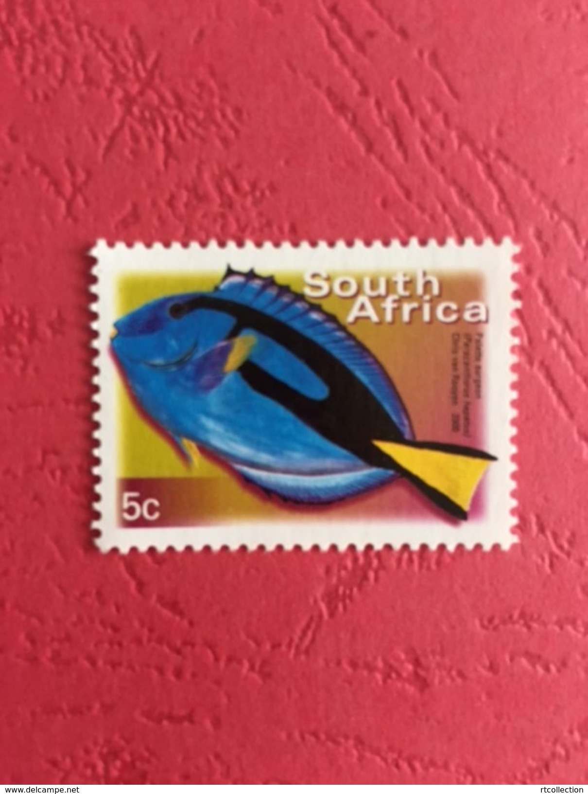 South Africa 2000 - One Palette Surgeon Fishes Fish Animal Animals Marine Life Sealife Nature Fauna 5c Stamp MNH SG 1205 - Ungebraucht