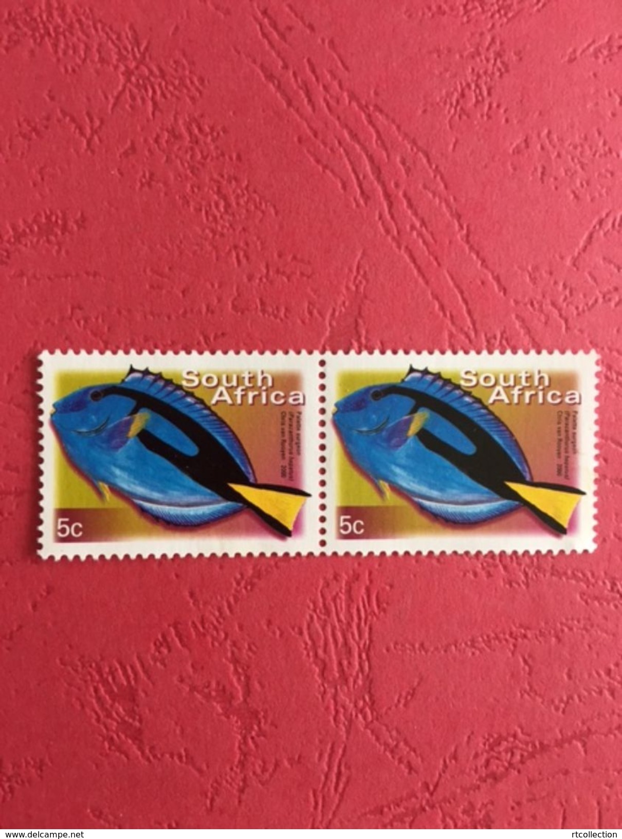 South Africa 2000 Pair Palette Surgeon Fishes Fish Animal Animals Marine Life Sealife Nature Fauna 5c Stamps MNH SG 1205 - Unused Stamps