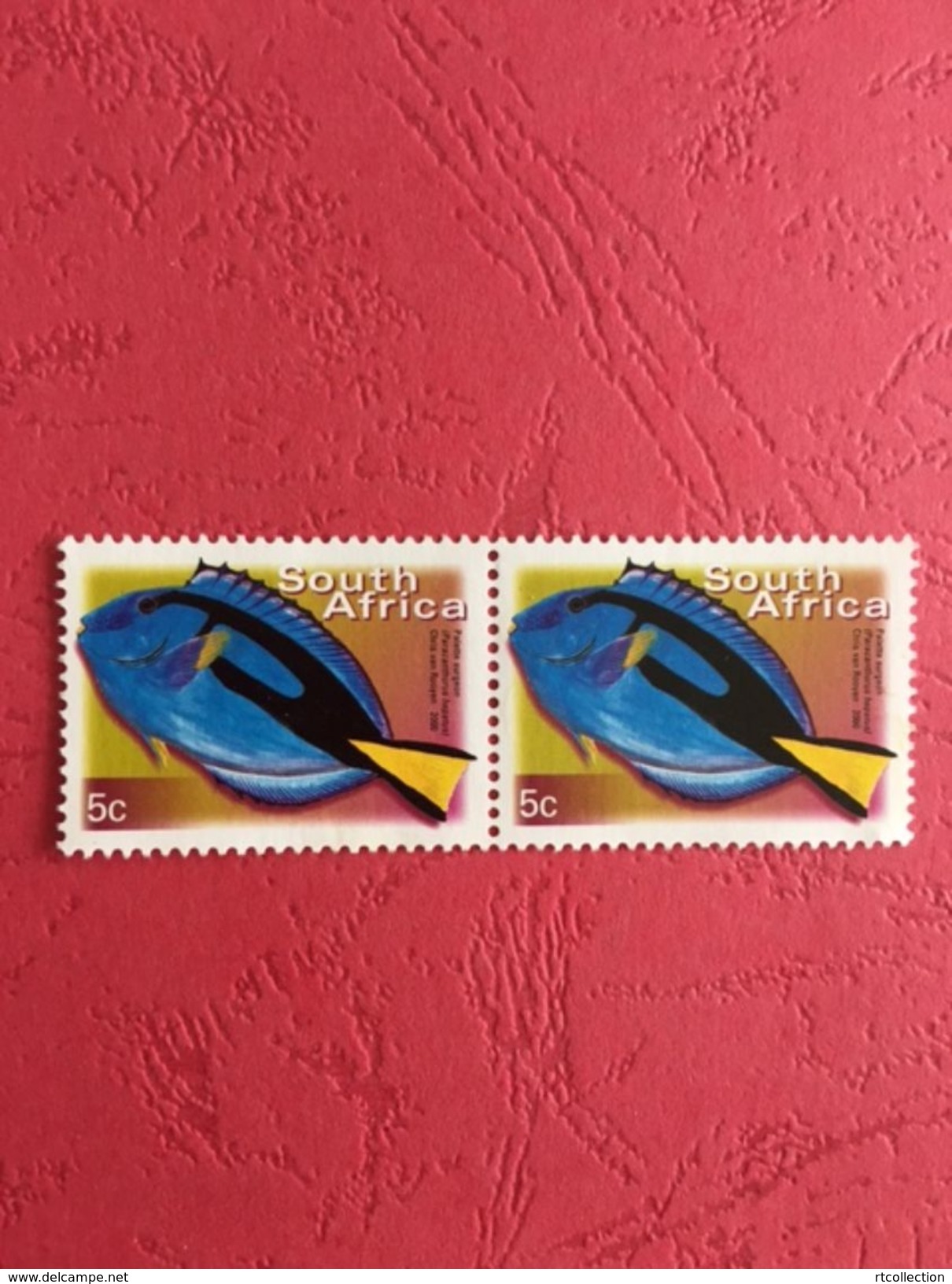 South Africa 2000 Pair Palette Surgeon Fishes Fish Animal Animals Marine Life Sealife Nature Fauna 5c Stamps MNH SG 1205 - Blocs-feuillets