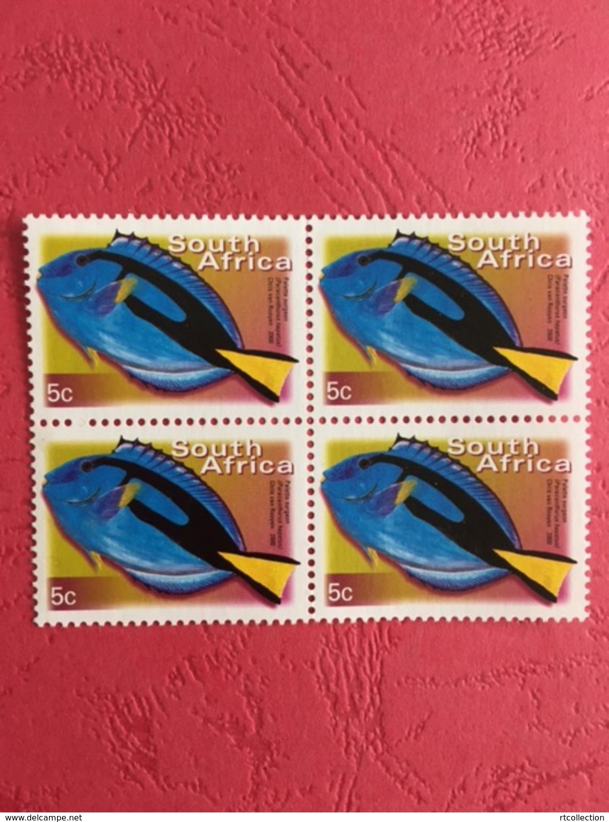 South Africa 2000 Block Palette Surgeon Fishes Fish Animals Marine Life Sealife Nature Fauna 5c Stamps MNH SG 1205 - Ungebraucht