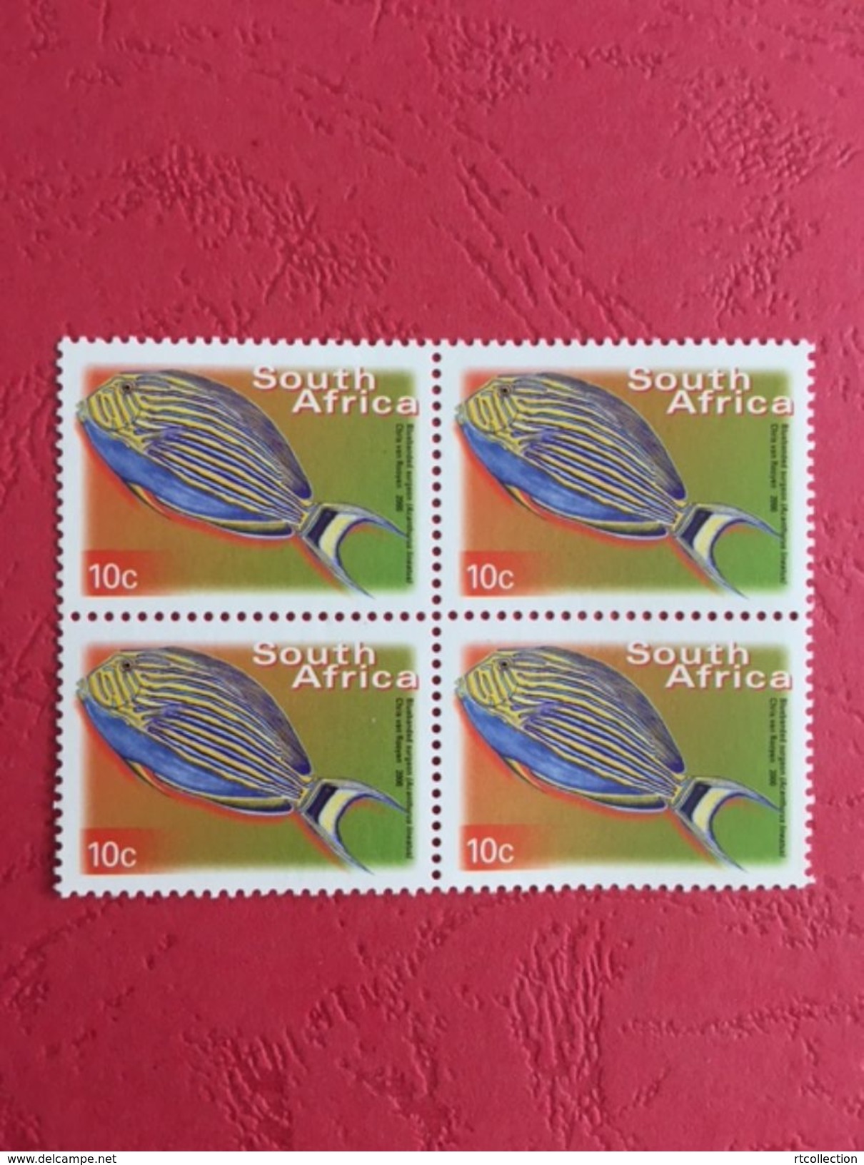 South Africa 2000 Block Acanthurus Lineatus Fishes Fish Animals Marine Life Sealife Nature Fauna 10c Stamps MNH SG 1206 - Ungebraucht