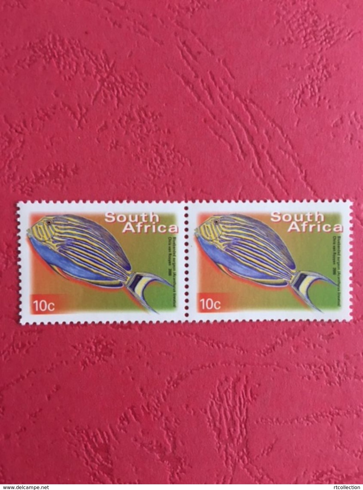 South Africa 2000 Pair Acanthurus Lineatus Fishes Fish Animals Marine Life Sealife Nature Fauna 10c Stamps MNH SG 1206 - Unused Stamps