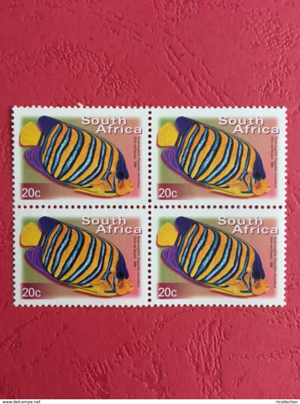 South Africa 2000 Block ROYAL ANGELFISH Fishes Animal Animals Marine Life Sealife Nature Fauna 20c Stamps MNH SG 1207 - Nuovi