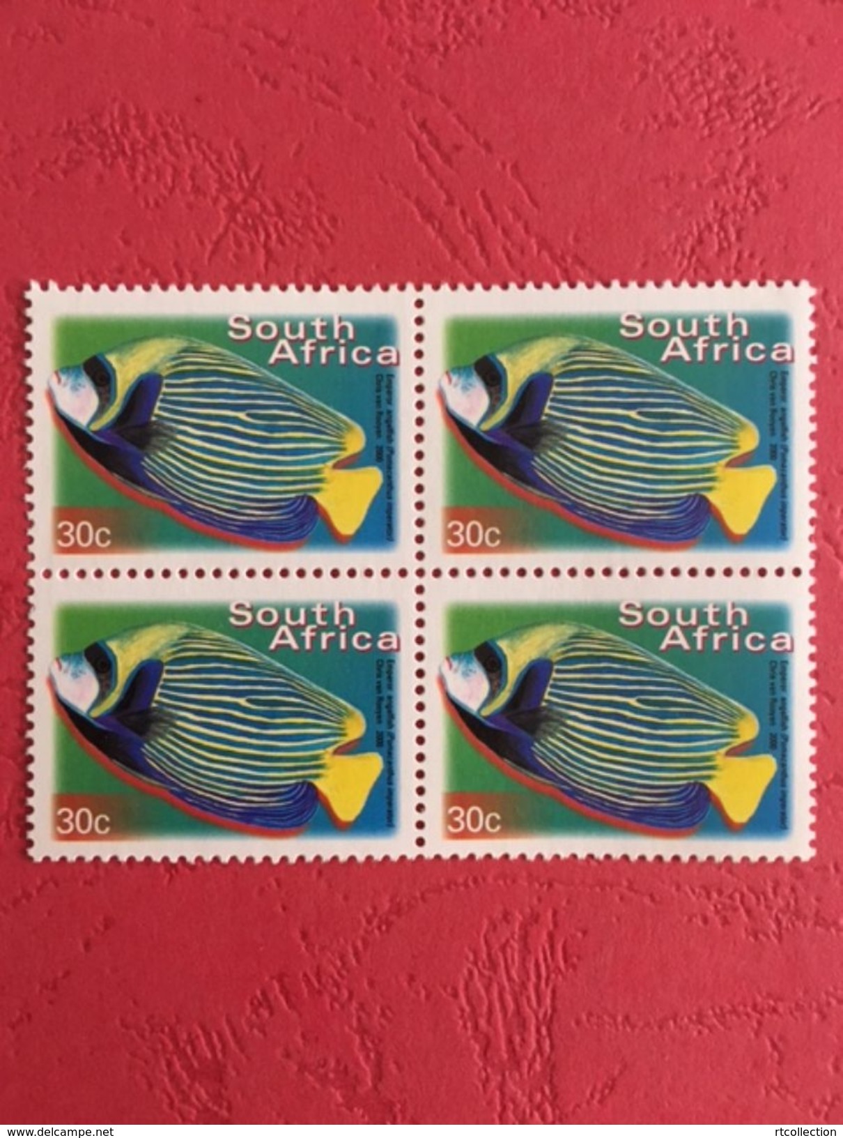 South Africa 2000 Block Emperor Angelfish Fishes Animal Animals Marine Life Sealife Nature Fauna 30c Stamps MNH SG 1208 - Ongebruikt