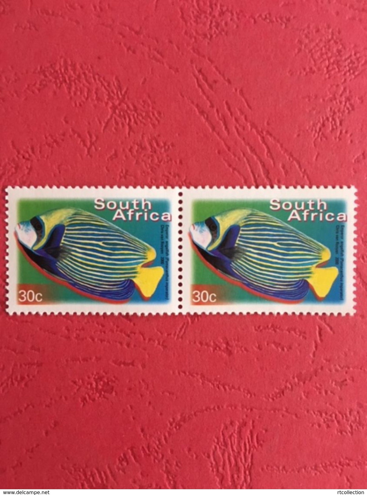 South Africa 2000 Pair Emperor Angelfish Fishes Animal Animals Marine Life Sealife Nature Fauna 30c Stamps MNH SG 1208 - Ungebraucht