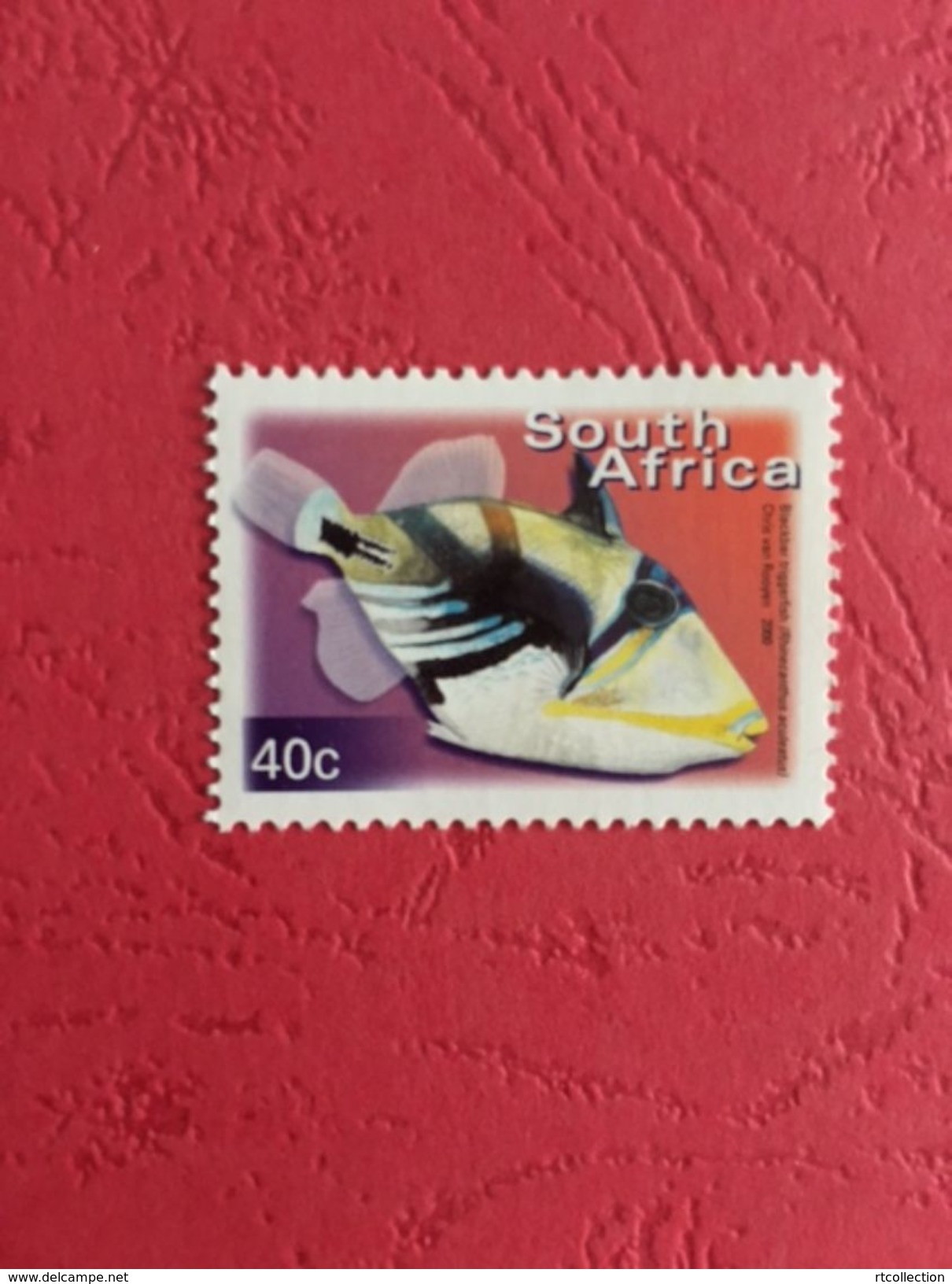 South Africa 2000 One BLACKBAR TRIGGERFISH Fishes Fish Animals Marine Life Sealife Nature Fauna 40c Stamp MNH SG 1209 - Unused Stamps