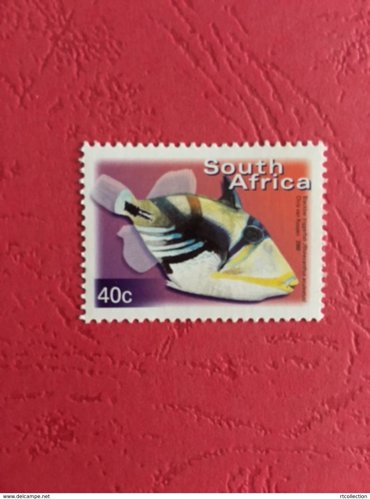 South Africa 2000 One BLACKBAR TRIGGERFISH Fishes Fish Animals Marine Life Sealife Nature Fauna 40c Stamp MNH SG 1209 - Ungebraucht