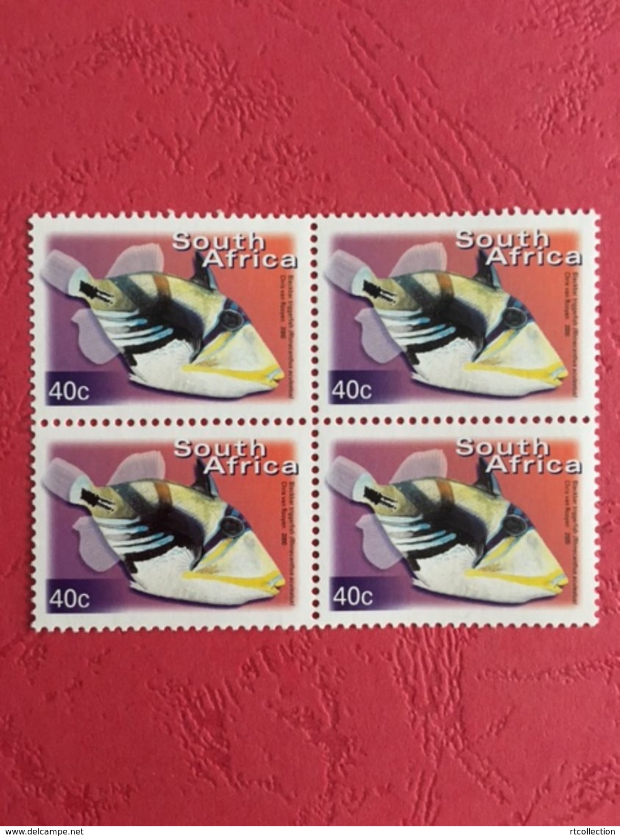 South Africa 2000 Block BLACKBAR TRIGGERFISH Fishes Fish Animals Marine Life Sealife Nature Fauna 40c Stamps MNH SG 1209 - Blocs-feuillets