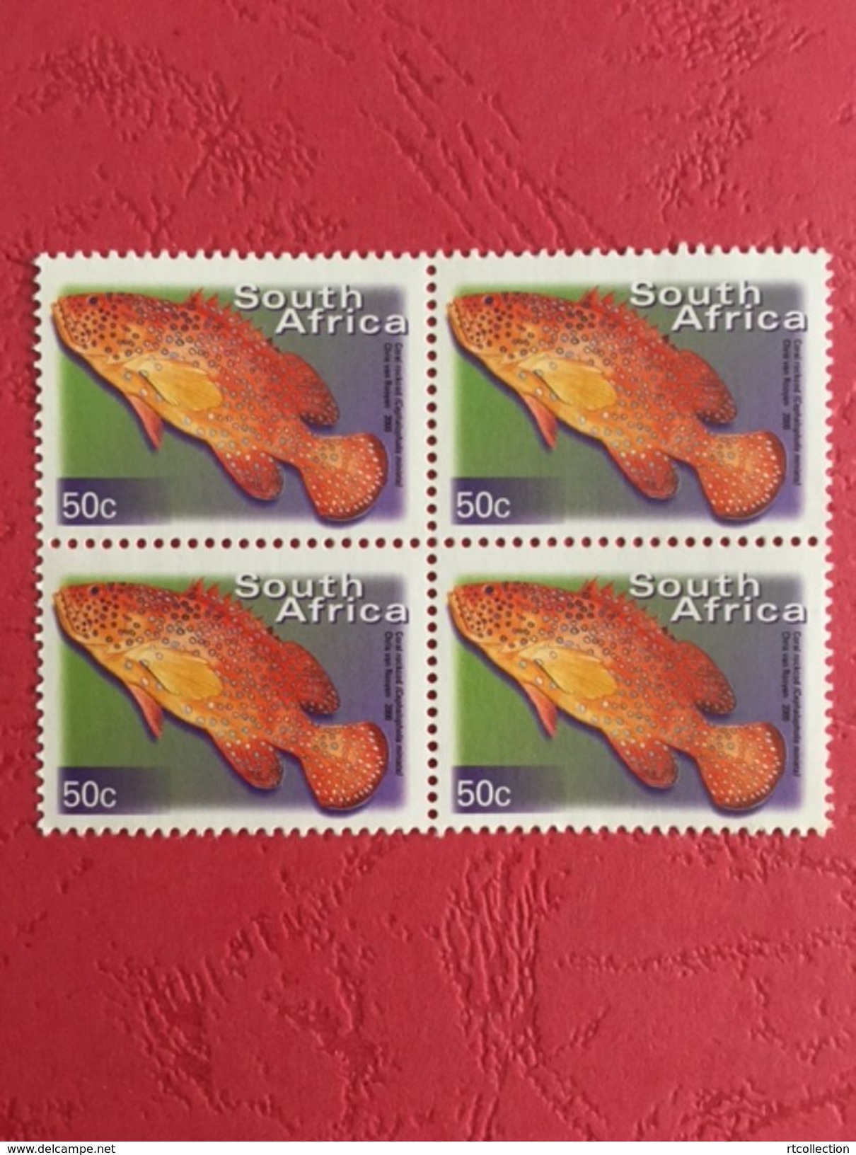 South Africa 2000 Block Coral Rockcod Fishes Fish Animals Marine Life Sealife Nature Fauna 50c Stamps MNH SG 1210 - Blocks & Sheetlets