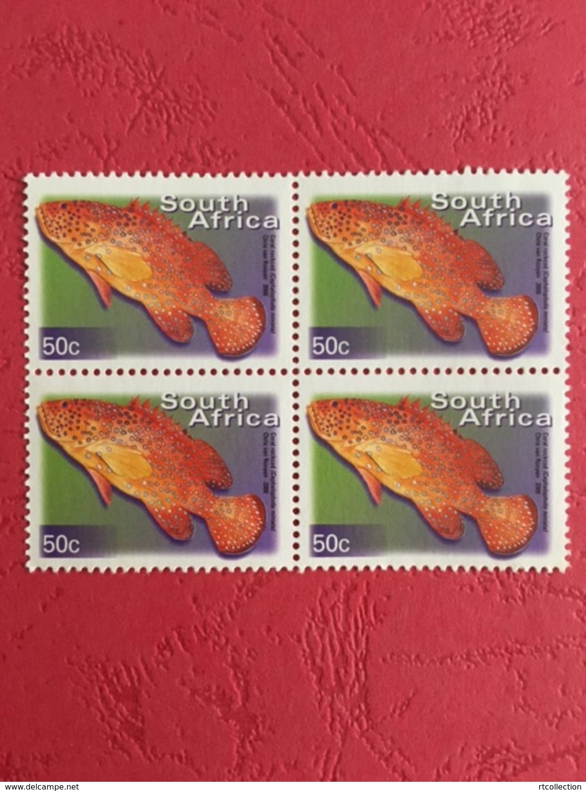 South Africa 2000 Block Coral Rockcod Fishes Fish Animals Marine Life Sealife Nature Fauna 50c Stamps MNH SG 1210 - Unused Stamps