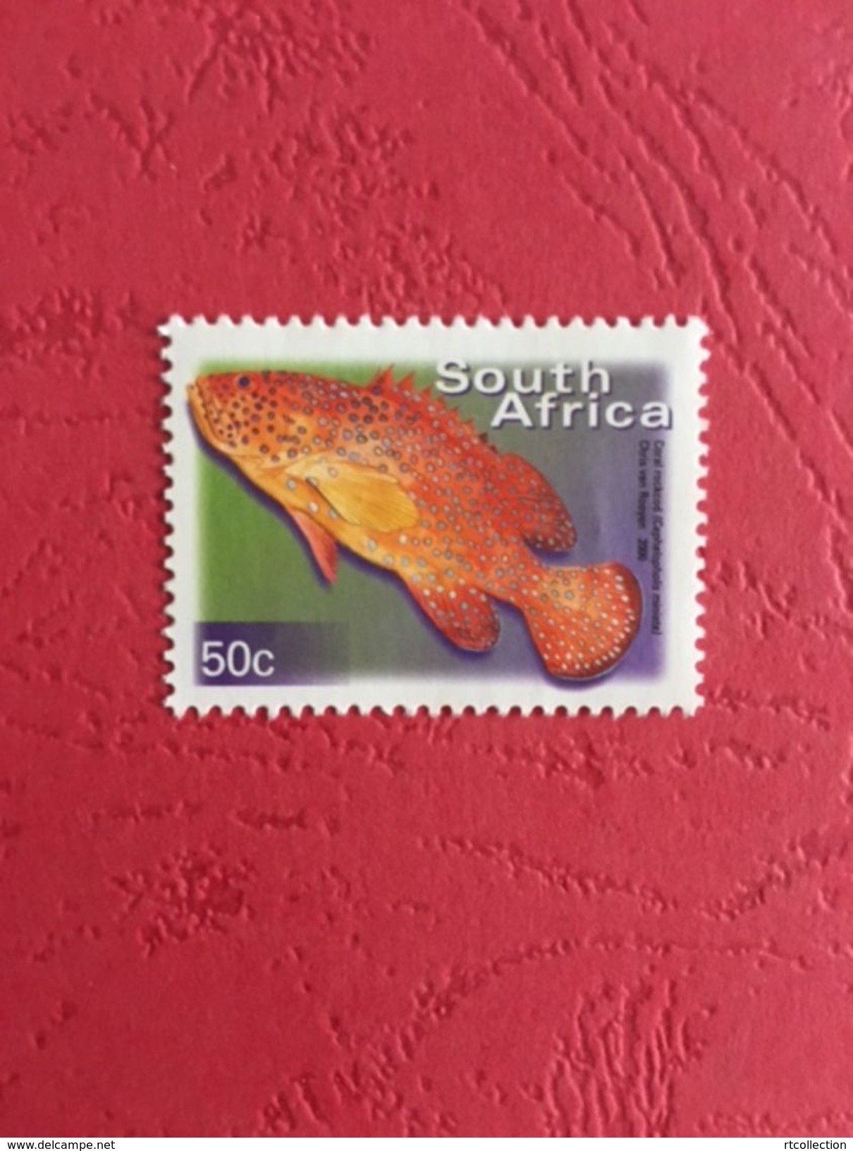 South Africa 2000 - One Coral Rockcod Fishes Fish Animals Marine Life Sealife Nature Fauna 50c Stamp MNH SG 1210 - Ongebruikt