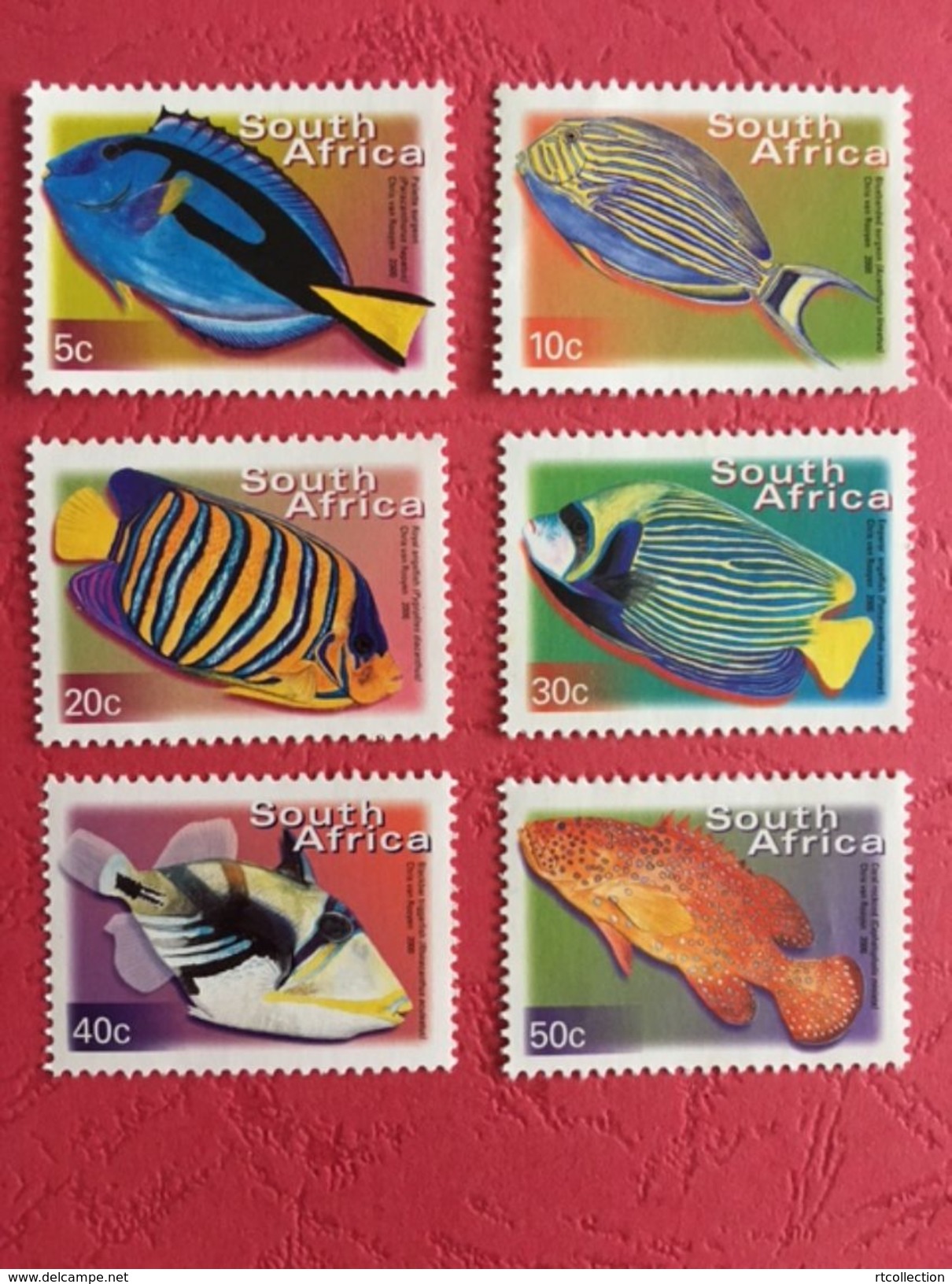 South Africa 2000 - One Set Of 6 Fishes Fish Animals Marine Life Sealife Nature Fauna Stamps MNH SG 1205-1210 - Unused Stamps