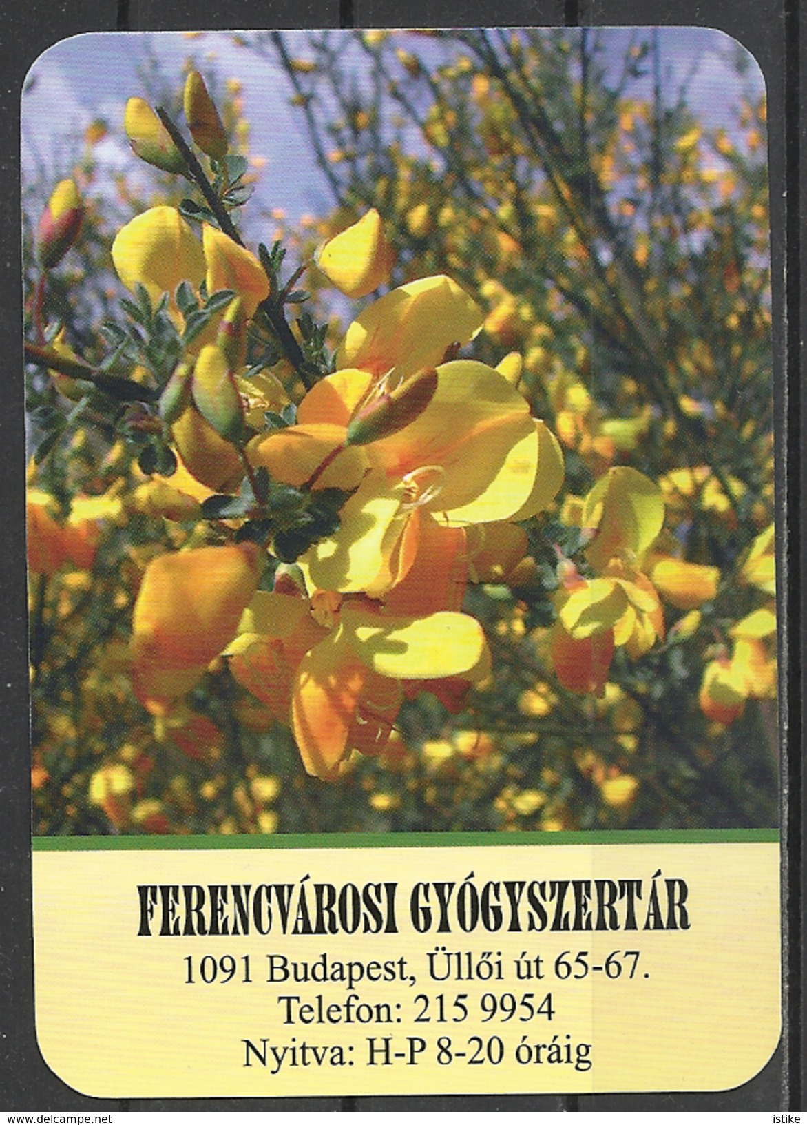 Hungary, Budapest, Yellow Flowers, Pharmacy Ad, 2017. - Tamaño Pequeño : 2001-...