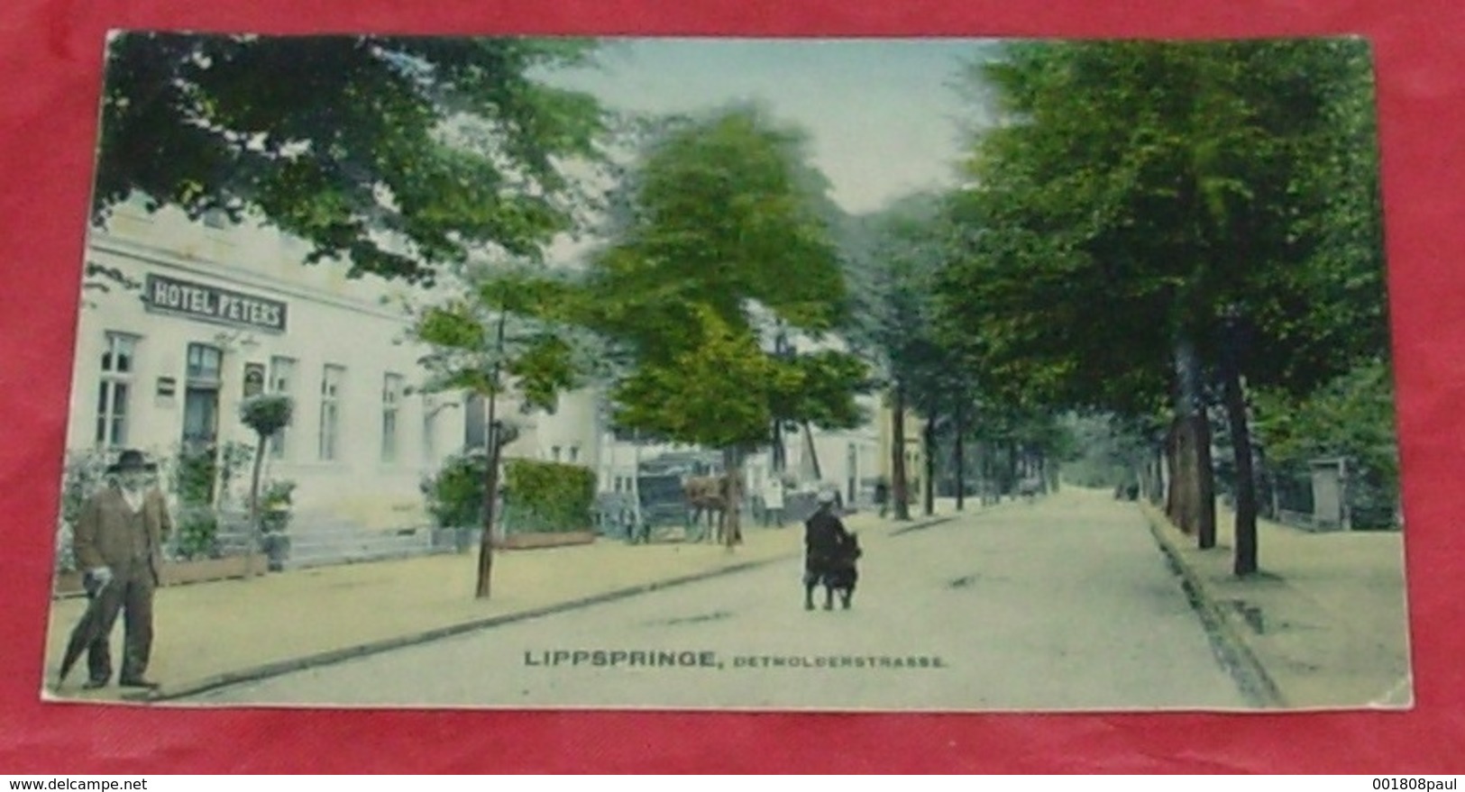 Lippspringe , Detmolderstrasse :::: Hotel Peters - Animation - Attelage ----------- 440 - Bad Lippspringe