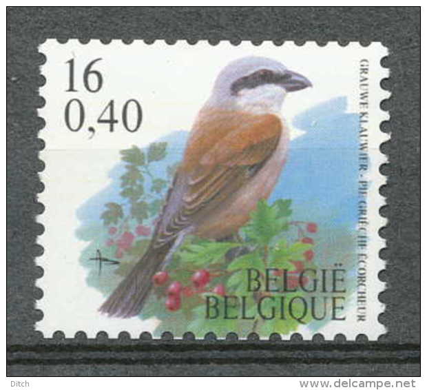 D- BELGIQUE 2000 - N° 2931, Pie Grièche écorcheur, Rouleau (format Horizontal), Oiseau, Buzin.SNC. - Rouleaux