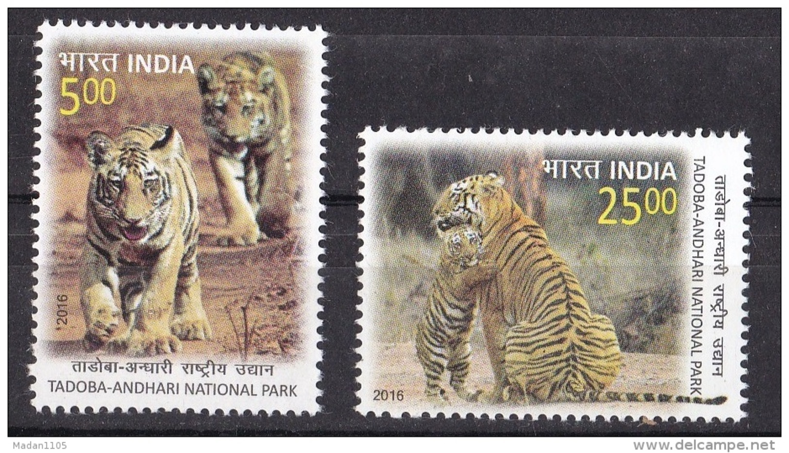 INDIA, 2016, Tadoba-Andhari-National Park, Tiger,Tigers, Fauna Cub, Set 2 V, MNH, (**) - Big Cats (cats Of Prey)