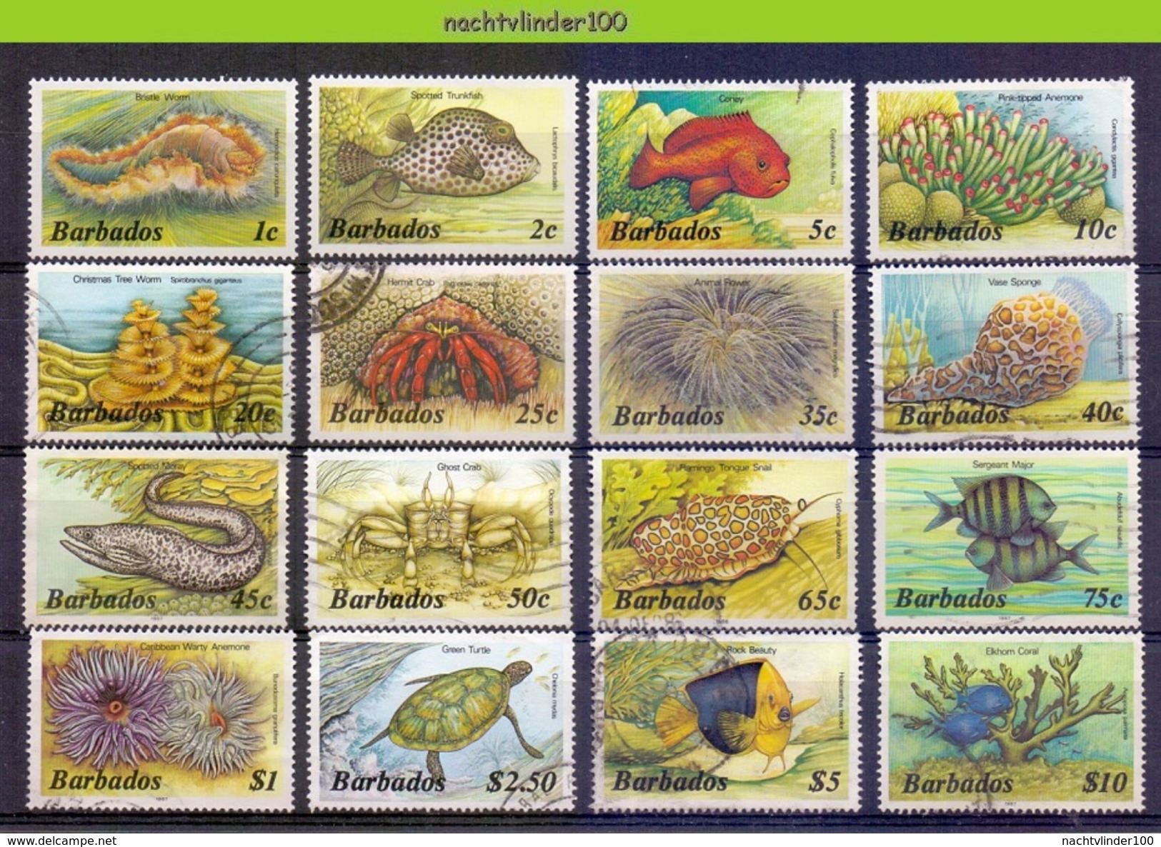 Mwe2532 FAUNA VISSEN SNAIL CORAL ANIMONE TURTLE CRAB FISH FISCHE POISSONS MARINE LIFE  BARBADOS 1985-1987 Gebr/used # - Marine Life