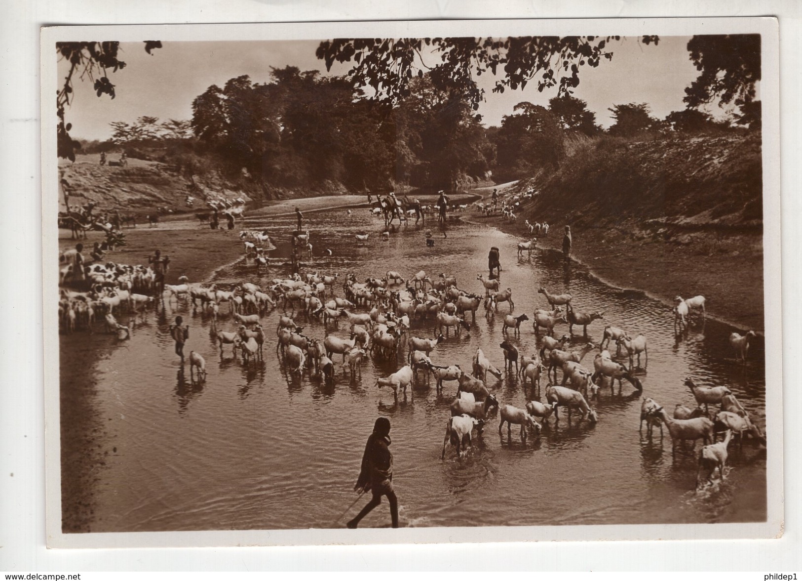 Somalia Italiana - Carte Neuve. Vera Fotografia. Série L  N°8. " Guado Nell'alto Giuba " - Somalie