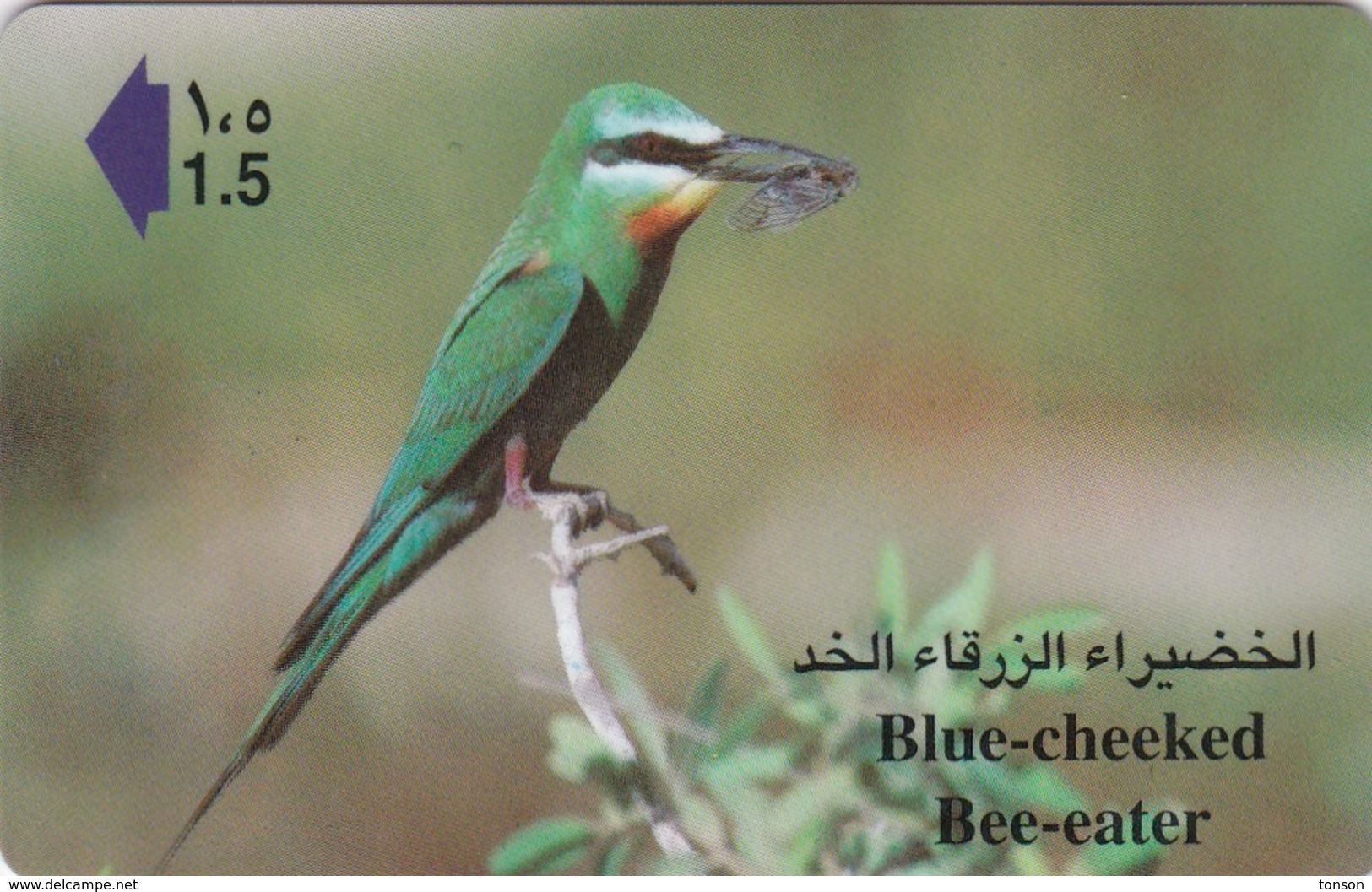 Oman,  44OMNM, Blue Cheeked Bee-eater, Birds, 2 Scans. - Oman