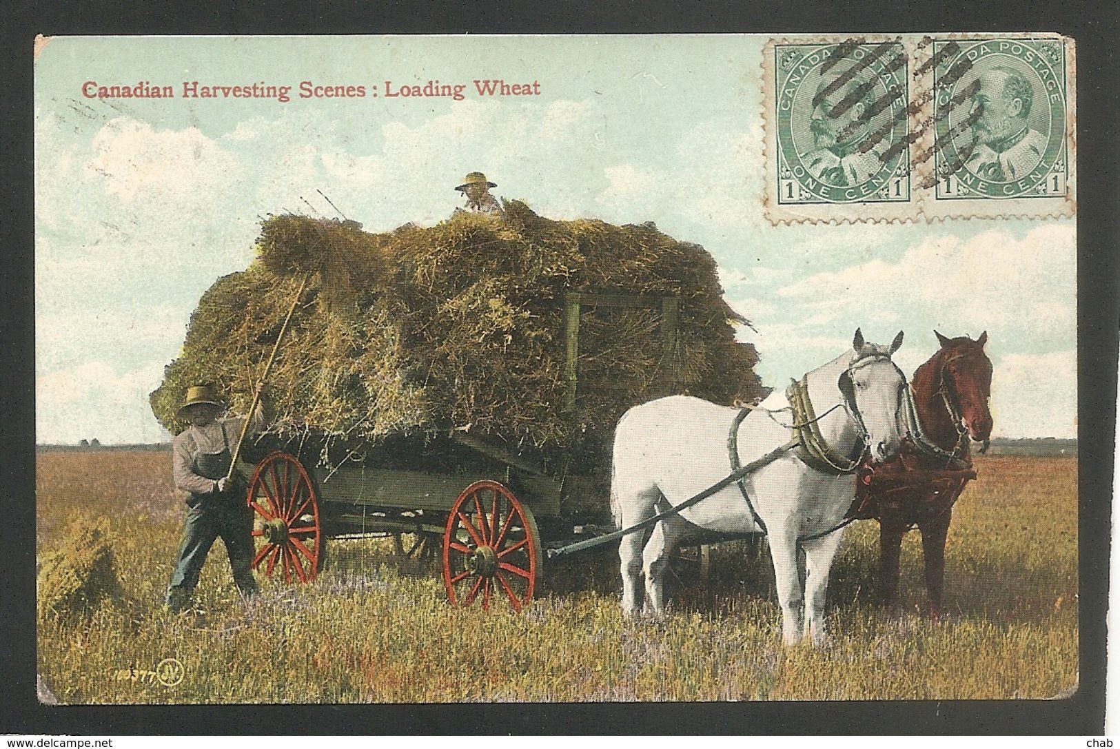 Canadian Harvesting Scenes: Loading Wheat -- ATTELAGE - MOISSON - AGRICULTURE - PAYSAN - Non Classés