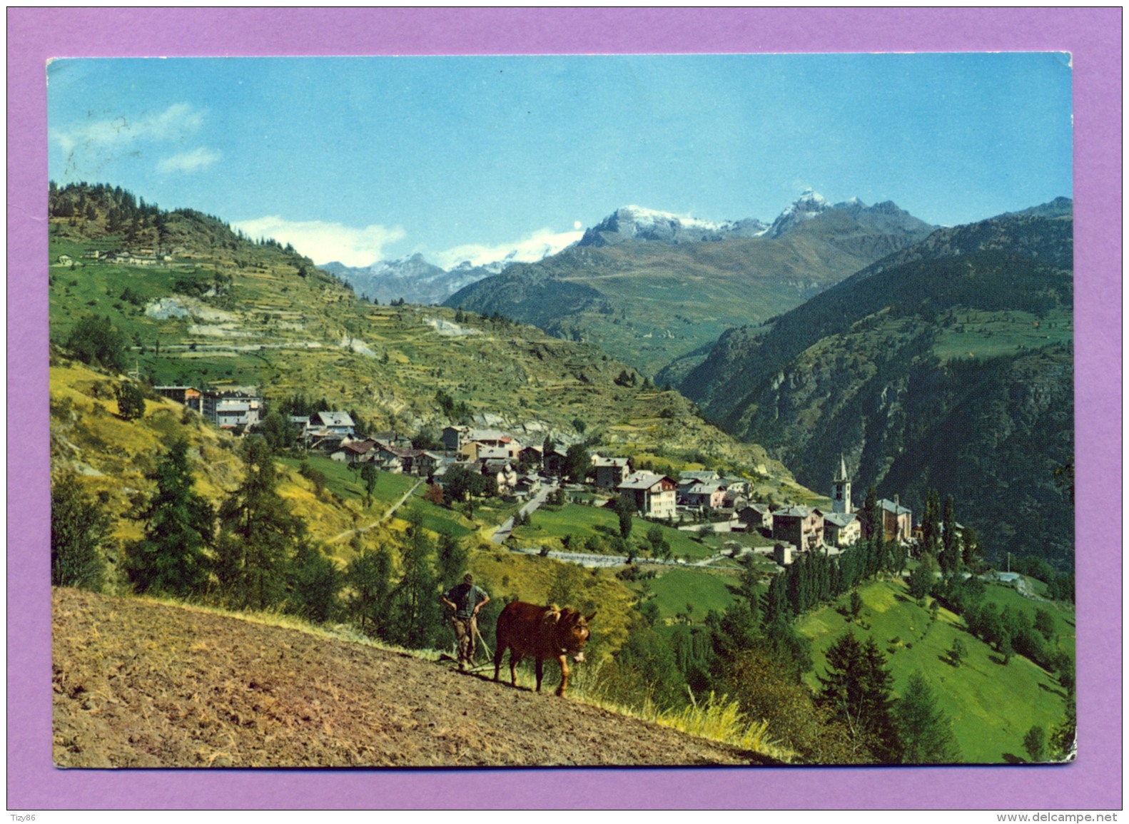 Torgnon (Valle D'Aosta) - Panorama - Altri & Non Classificati