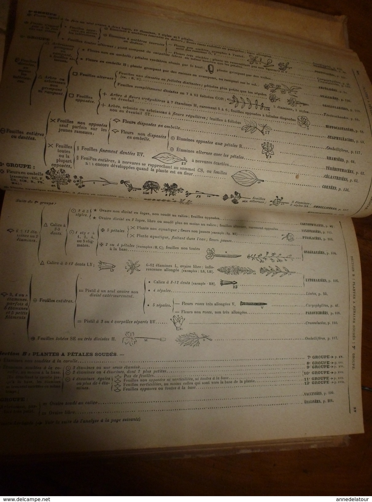 1944 FLORE complète de la France et de la Suisse par G. Bonnier et G. de Layens , comprenant 5.338 figures;etc