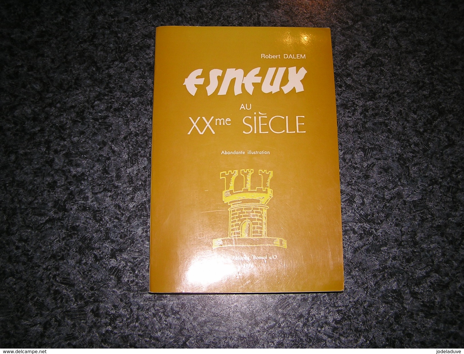 ESNEUX AU XX ème SIECLE R Dalem 1976 Régionalisme Histoire Guerre 14 18 40 45 Toponymie Commune Hopital Coutumes Eglise - Belgien