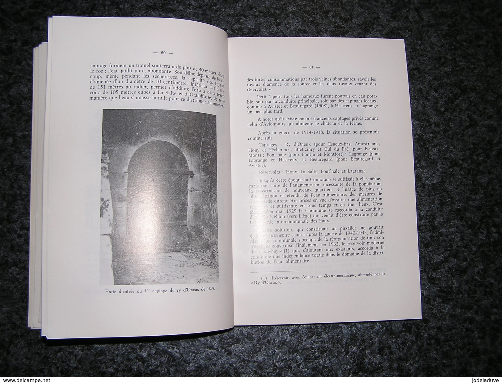 ESNEUX AU XX ème SIECLE R Dalem 1976 Régionalisme Histoire Guerre 14 18 40 45 Toponymie Commune Hopital Coutumes Eglise